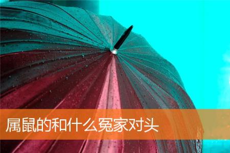 属鼠的和什么冤家对头